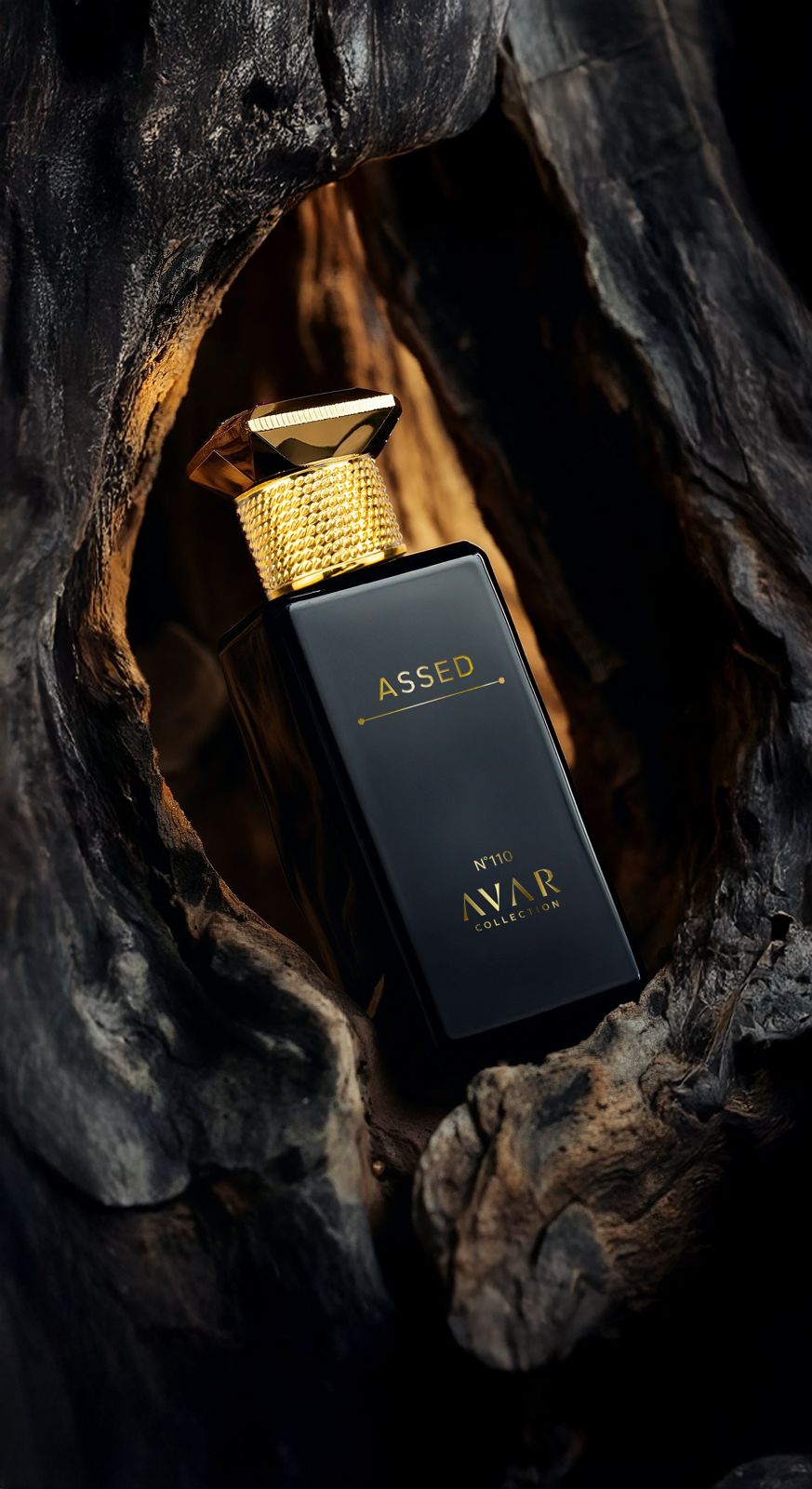 Assed - N°110 (AVAR Collection)